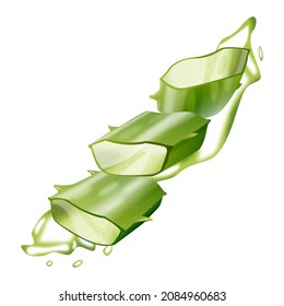 Realistic vector set aloe vera slice on juice isolated on white background