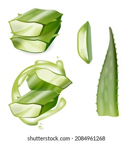 Realistic vector set aloe vera isolated on white background