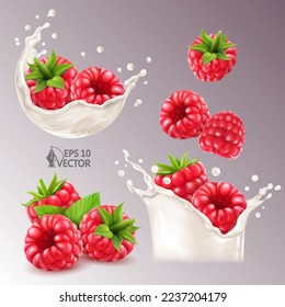 Realistic vector set of fresh raspberries in milk splash or yogurt with drops, ripe berries, natural milk splash, 3d illustration