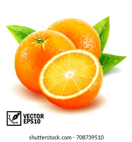 Realistic vector set fresh whole oranges and sliced orange with leaves and dew drops. Editable handmade mesh