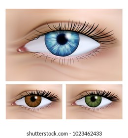 Realistic vector set of human female eyes close-up. Human eye blue, green, brown, isolated on white photorealistic vector illustration