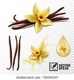 Realistic vector set of isolated elements (vanilla flower and pods or sticks, vanilla splash and drops)