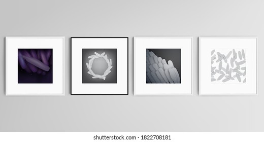Realistic vector set of square picture frames isolated on gray background. Feathers, birds plumage in abstract style. Graphic pattern. Vector illustration design.