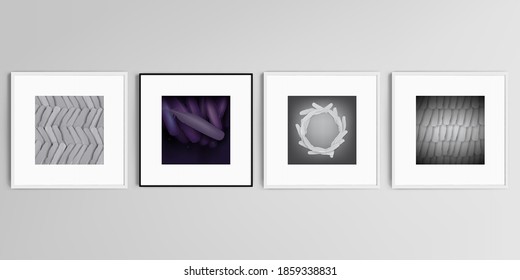 Conjunto vectorial realista de marcos cuadrados aislados en fondo gris. Las plumas, los pájaros caen en un estilo abstracto. Patrón gráfico. Diseño de ilustración vectorial.