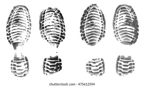 Realistic vector shoeprint isolated on white background. 