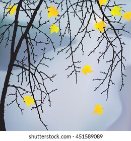 Realistic vector silhouette autumn tree in a landscape for your design . Vintage hand drawn illustration with space for text