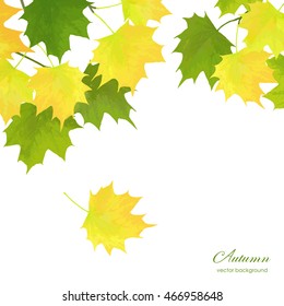 Realistic vector silhouette autumn tree for your design on the white background. Vintage hand drawn illustration with space for text