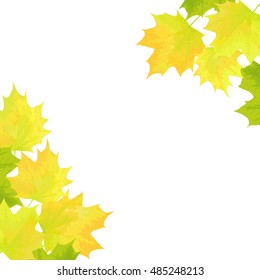 Realistic vector silhouette autumn tree for your design on the white background. Vintage hand drawn illustration with space for text