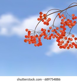Realistic vector silhouette autumn tree for your design on the blue background. Vintage hand drawn illustration with space for text