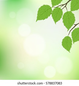 Realistic vector silhouette spring tree for your design on the green background. Vintage hand drawn illustration with space for text