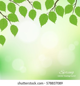 Realistic vector silhouette spring tree for your design on the white background. Vintage hand drawn illustration with space for text