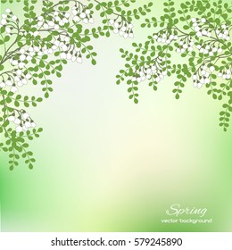 Realistic vector silhouette spring tree for your design on the green background. Vintage hand drawn illustration with space for text