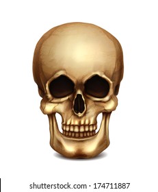 Realistic Vector Skull