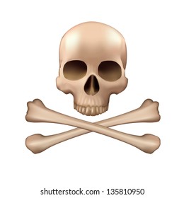 Realistic vector skull and bones