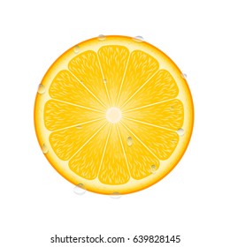 realistic vector slice orange in raindrops on a white background