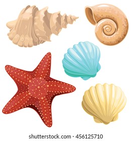 Realistic vector starfish and seashell