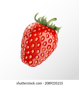 Realistic vector Strawberry isolated on white background