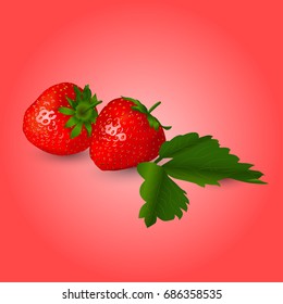 Realistic vector strawberry with leaves on a pink background
