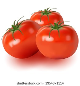 Realistic vector of tomatoes isolated on white background