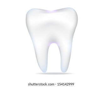 realistic vector tooth