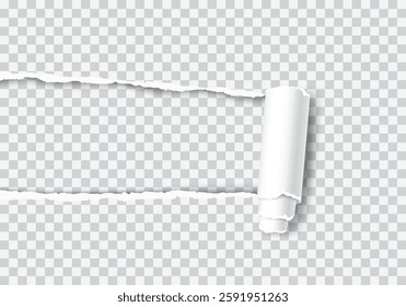 Realistic vector of a torn hole with a rolled edge. Ripped paper with a curled fragment. Template frame for text. Paper mockup.