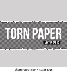 Realistic vector torn paper. vector illustration