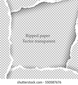 Realistic Vector Torn Paper With Ripped Edges With Space For Text.  Template Design For Banner For Web And Print,  Sale Promo, Advertising, Presentation. Vector Illustration