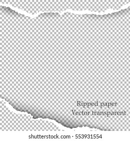 Realistic Vector Torn Paper With Ripped Edges With Space For Text.  Template Design For Banner For Web And Print,  Sale Promo, Advertising, Presentation. Vector Illustration