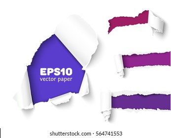 Realistic vector torn paper with ripped edges. Torn page banner for web and print. Damaged torn paper for design.