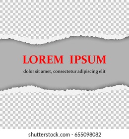 Realistic vector torn paper with ripped edges with place for text.