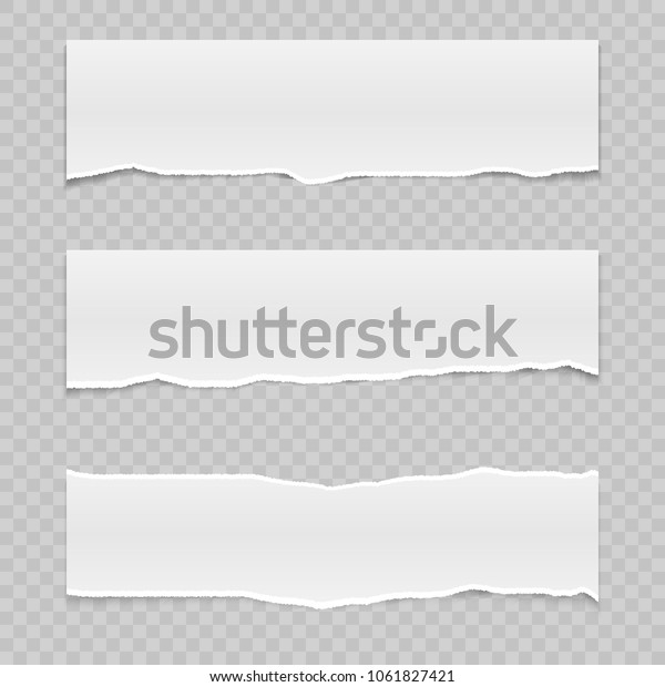 切り取り線とリアルなベクター画像破りの紙 のベクター画像素材 ロイヤリティフリー
