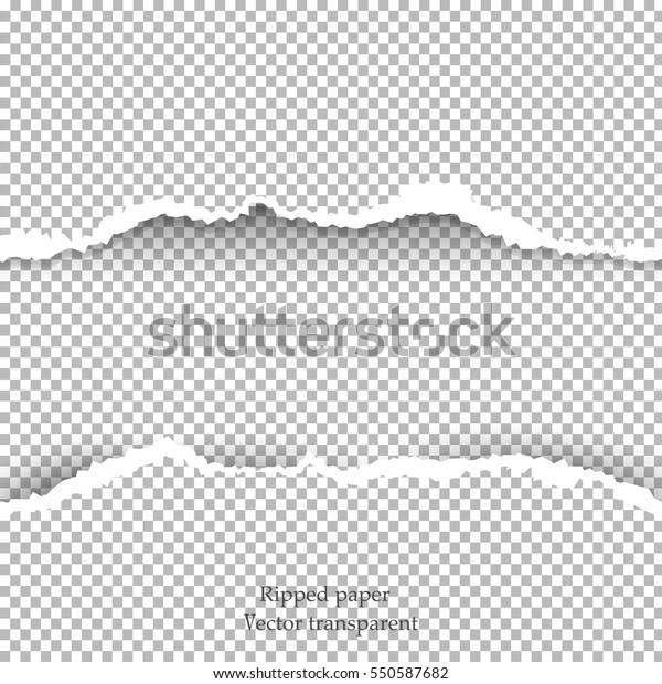 Realistic\
vector torn paper with ripped edges with space for text.  Template\
design for banner for web and print,  sale promo, advertising,\
presentation. vector\
illustration\
\
\
\
\
