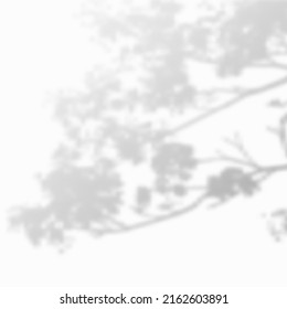 Realistic Vector transparent overlay blurred shadow of branch leaves. Design Element for Presentations and Mockups. Overlay Effect of Tree Shadow.