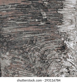 Realistic Vector Tree Bark illustration textured background