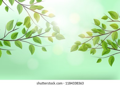 Realistic Vector Tree Branch