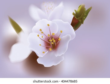 Realistic vector tree branch with flowers with delicate background. mesh