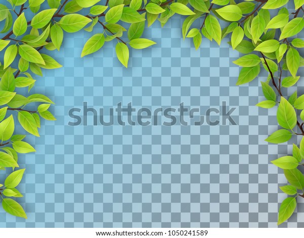 緑の葉をアーチ形にしたリアルなベクター画像の木の枝 自然デザインのエレメント 透明な背景に のベクター画像素材 ロイヤリティフリー
