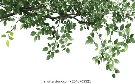 Realistic vector tree branches, greenery leaves isolate, nature design, realistic foliage, tree leaves, botanical elements, isolated tree branches, natural illustration, eco friendly design