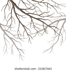 Realistic vector tree branches silhouette isolated on white background