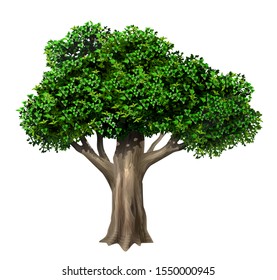 Árbol vectorial realista con hojas. Planta con vegetación. Naturaleza forestal y ecología