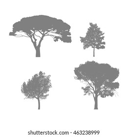 Realistic vector trees in silhouettes. Southern plants set.