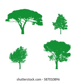 Realistic vector trees in silhouettes. Southern plants set. Green icons.