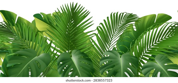 Realistic vector tropical foliage border with lush green palm and monstera leaves isolated on white background. Exotic jungle plants forming a decorative botanical frame with copy space.