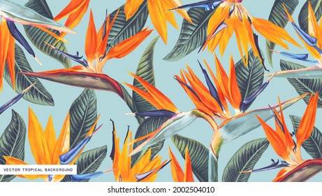 Papel mural realista, vectorial, tropical con estrelitzia (ave del paraíso) diseñado para pantallas de computadora y tabletas, puede ser usado como papel impreso para ropa, banner publicitario, portada en redes sociales