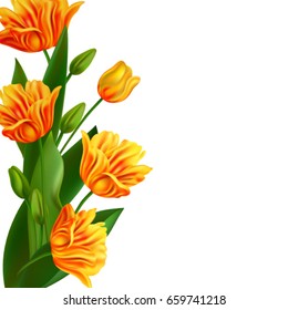 Realistic Vector Tulips Set. Not trace. Design. Yellow tulips Flowers on White Background.