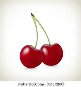 Realistic vector of two cherries.