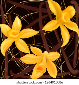 Realistic vector Vanilla flowers