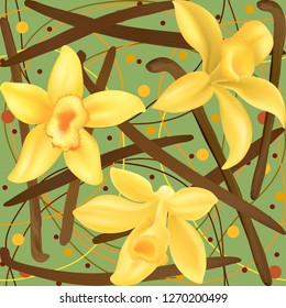 Realistic vector Vanilla flowers - Vector