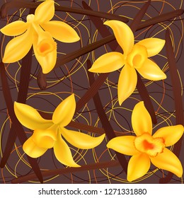 Realistic vector Vanilla flowers - Vector