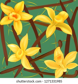 Realistic vector Vanilla flowers - Vector